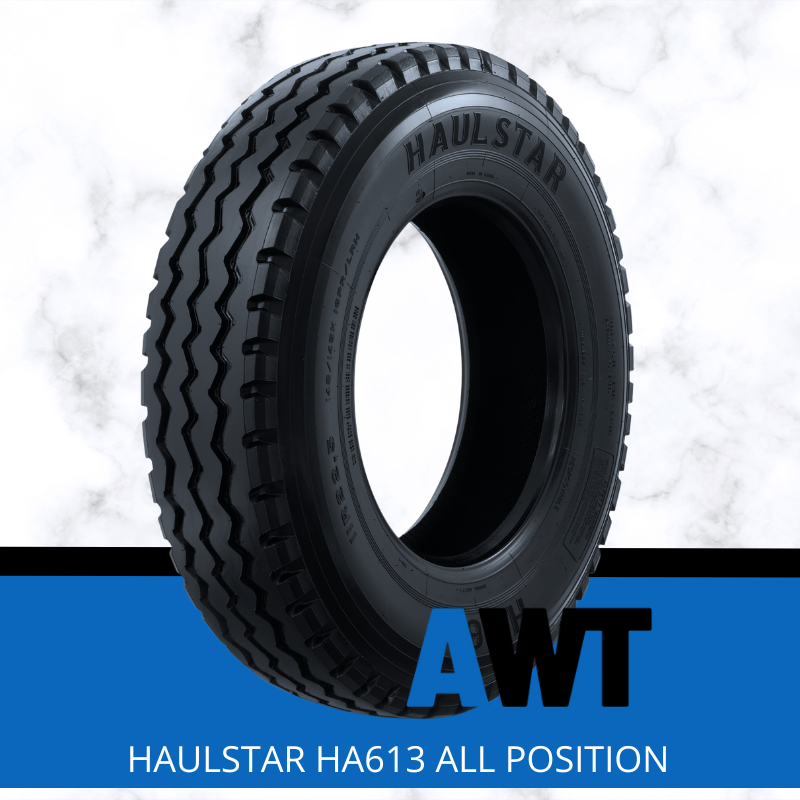 HAULSTAR 10.00R20 149/146K 18PL HA613 - ALL POSITION
